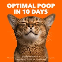 Iams Proactive Health Adult Urinary Tract Care Dry Cat Food with Chicken 1.6kg