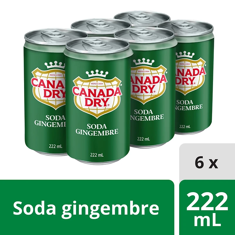 Canada Dry® Ginger Ale 222 mL Mini-Cans, 6 Pack