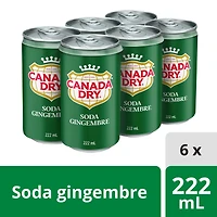 Canada Dry® Ginger Ale 222 mL Mini-Cans, 6 Pack