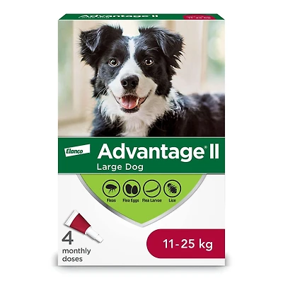 Advantage II Flea Treatment for Large Dogs (4 doses)