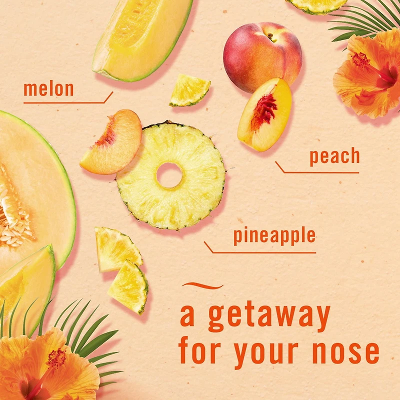 Febreze Car Air Freshener, Odour-Fighting Automotive Vent Clip, Hawaiian Aloha Scent, 4 Count