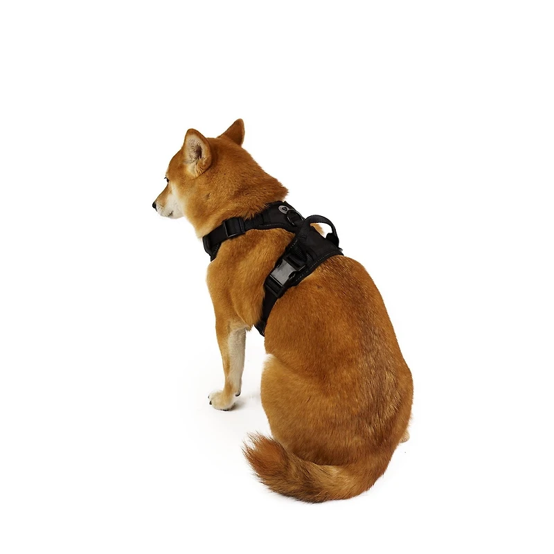 Harnais pour chien One Paw, avec maille collée et coutures réfléchissantes, disponible en plusieurs tailles couleurs.