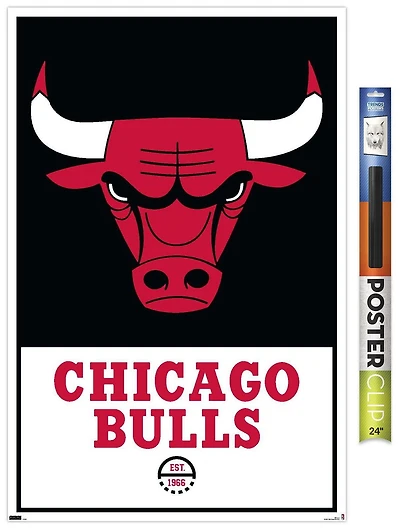 NBA Chicago Bulls