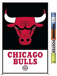 NBA Chicago Bulls - Logo 21 Wall Poster