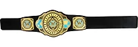 Wwe New Title Belt (