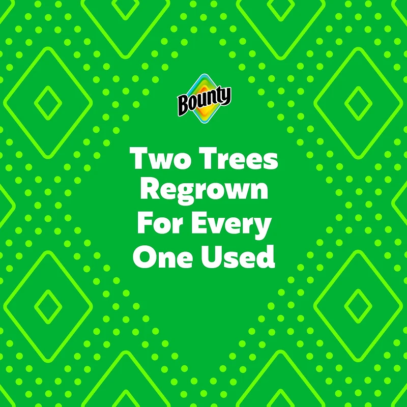 Bounty Paper Towel, 2 Rolls (4 Regular Rolls Equivalent)
