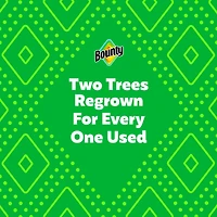 Bounty Paper Towel, 2 Rolls (4 Regular Rolls Equivalent)