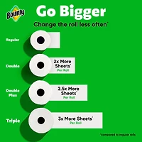 Bounty Paper Towel, 2 Rolls (4 Regular Rolls Equivalent)