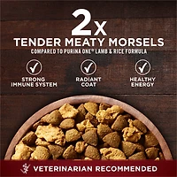 Purina ONE True Instinct Turkey & Venison, Dry Dog Food 6.8kg