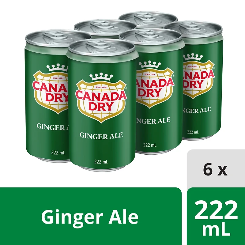 Canada Dry® Ginger Ale 222 mL Mini-Cans, 6 Pack