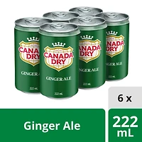 Canada Dry® Ginger Ale 222 mL Mini-Cans, 6 Pack