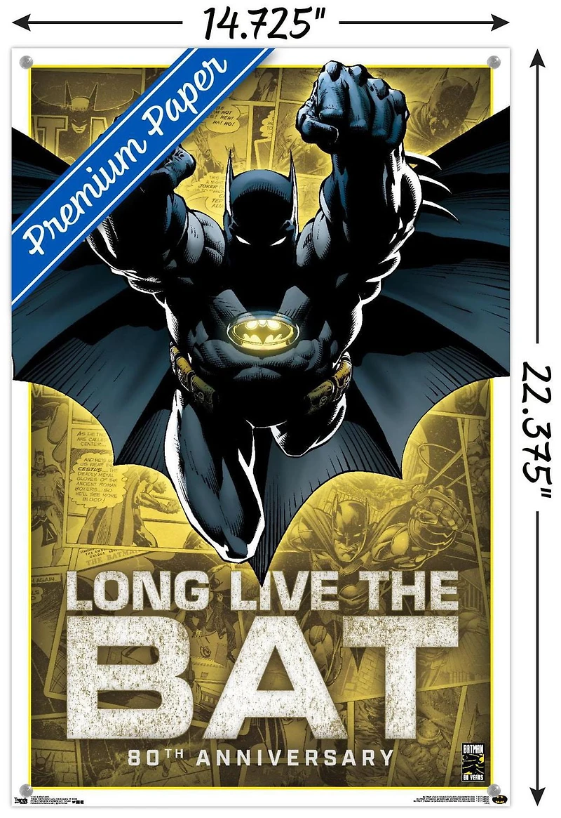DC Comics - Batman - 80th Anniversary Wall Poster, 22.375" x 34"