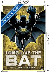 DC Comics - Batman - 80th Anniversary Wall Poster, 22.375" x 34"