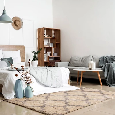 ECARPET Trellis Frise Moelleuse pour Chambre à Coucher