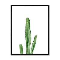 Designart Green Cactus South Western Plant Botanical Detail FLOAT FRAME WALL ART