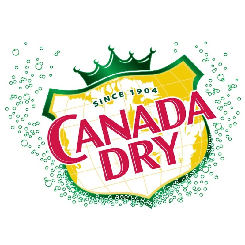 Canada Dry® Ginger Ale 222 mL Mini-Cans, 6 Pack