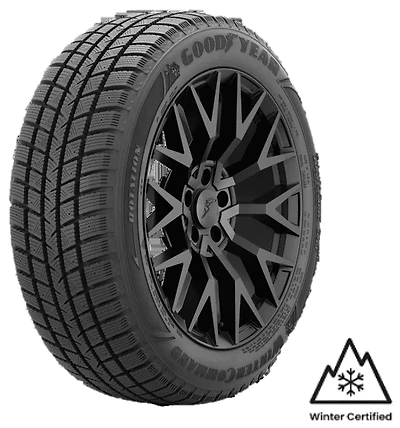 Goodyear WinterCommand 215/65R17 99T BSW tire