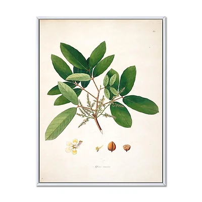 Designart Vintage Botanicals II FLOAT FRAME WALL ART
