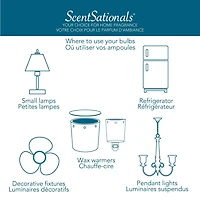ScentSationals - 25 Watt Full Size Warmer Bulb