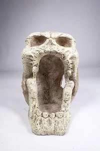 Penn Plax Reptology Skull Hide-Away Combo Extra Large