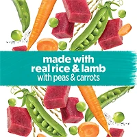 Beneful Prepared Meals Savoury Rice & Lamb Stew, Wet Dog Food 283 g