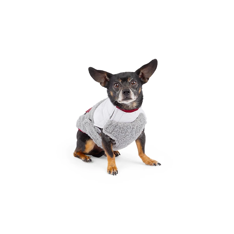 One Paw, Manteau pour Chien avec Distributeur de Sacs à Déjections