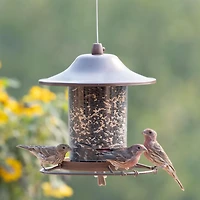 Perky-Pet 2 lb Small Panorama Wild Bird Feeder