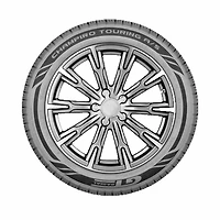 GT Radial Champiro Touring A/S 225/65R16 100T BSW tire