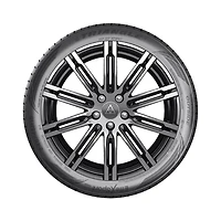 Triangle Effex Sport TH202 255/30R20XL 92Y Tire