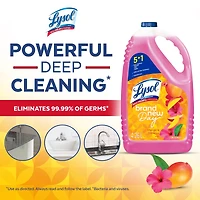 Lysol® Multi-Surface Cleaner, Pourable Disinfecting All-Purpose Cleaner for Floor & Hard Surfaces, Cuts Grease & Grime, Brand New Day ™ Mango & Hibiscus, 4.26 L