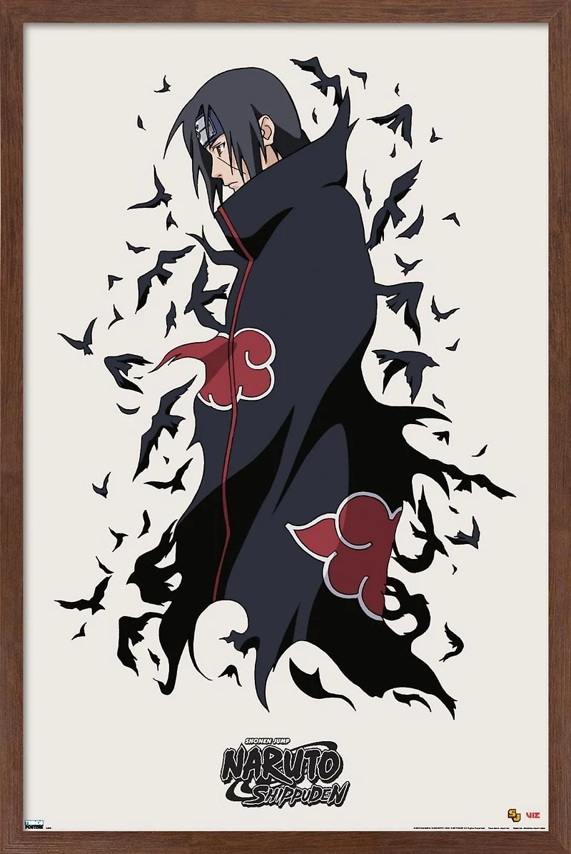 Naruto Shippuden