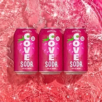 Cove Soda Framboise
