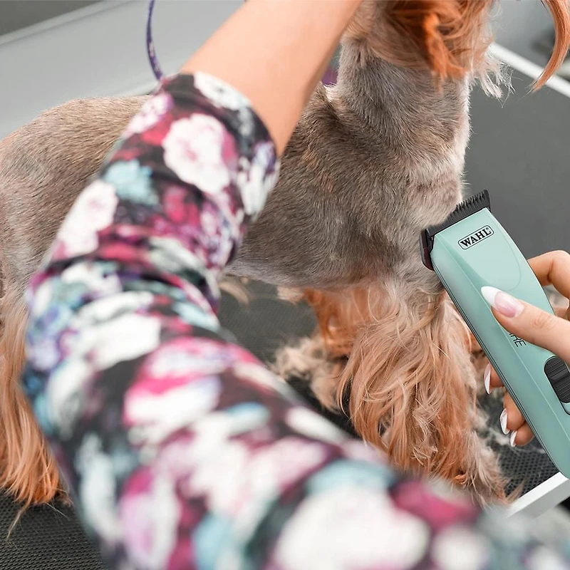 Wahl KM Inspire Tondeuse filaire pour animaux, moteur sans balais puissant, changement de lame facile, conception légère pour toutes les couches – Modèle – 59183