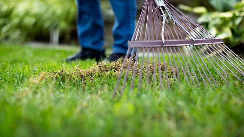 Scotts Turf Builder Terre à pelouse enrichie