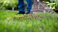 Scotts Turf Builder Terre à pelouse enrichie