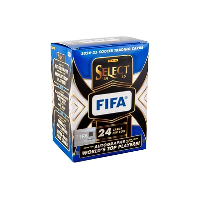 25 PN SC FIFA SEL VB