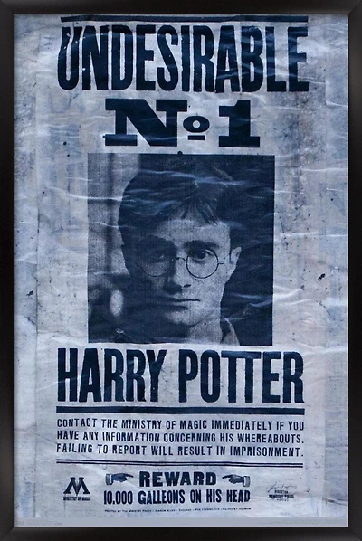 Le Monde des Sorciers : Harry Potter - Indésirable