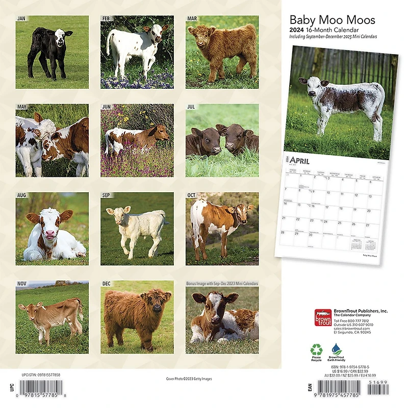 BrownTrout Baby Moo Moos 2024 12x24 Inch Square Wall Calendar, 9781975457785