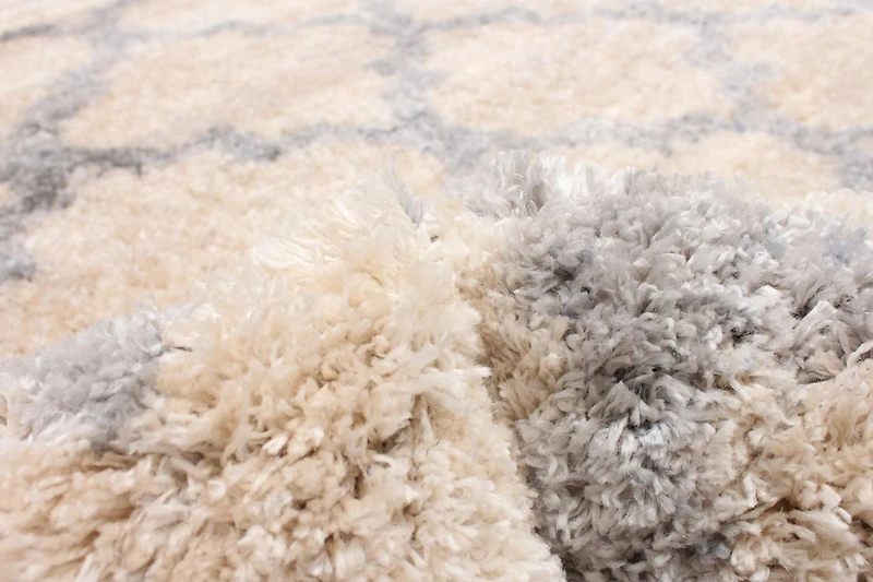 ECARPET Trellis Frieze Area Rug Fluffy Carpet for Bedroom