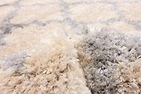 ECARPET Trellis Frieze Area Rug Fluffy Carpet for Bedroom