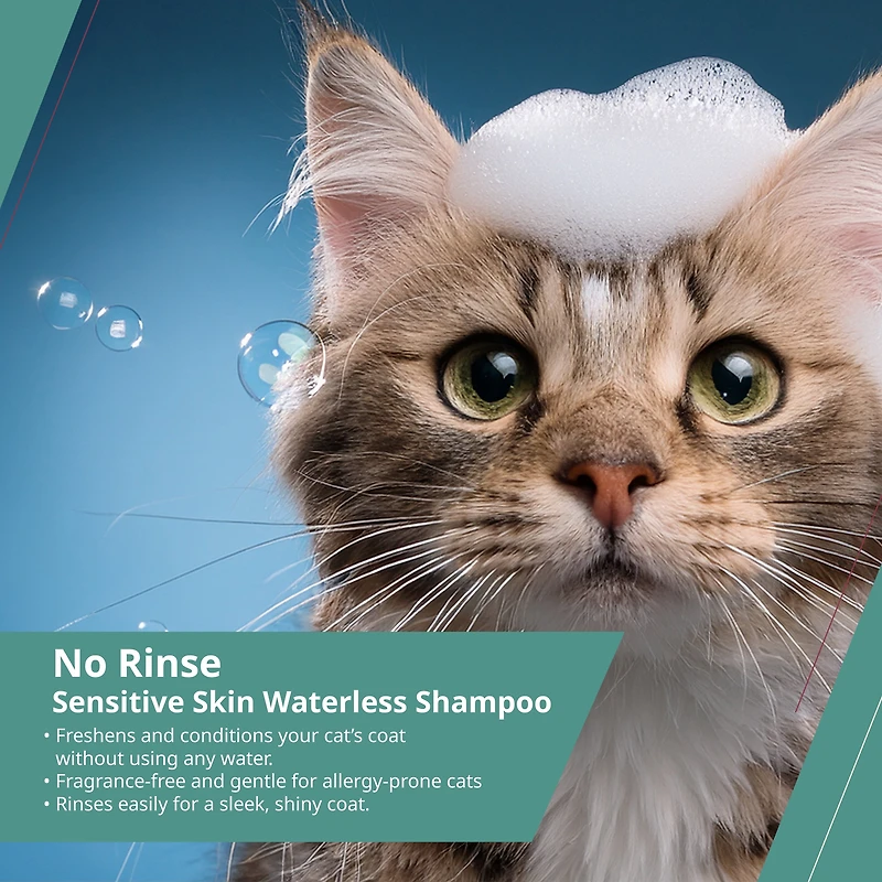 Wahl No Rinse Cat Shampoo, 210ml