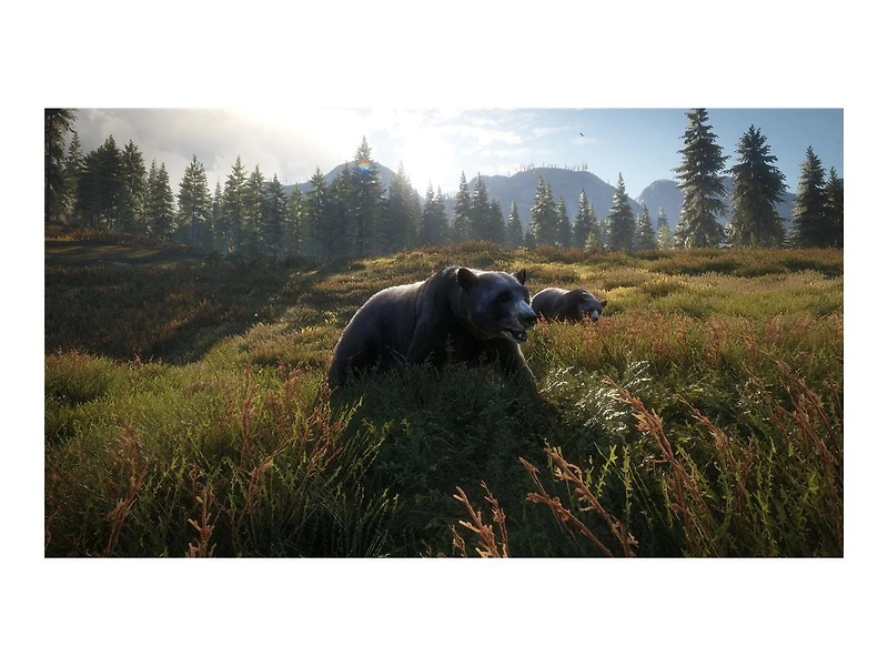 The Hunter Call of The Wild (PS4)