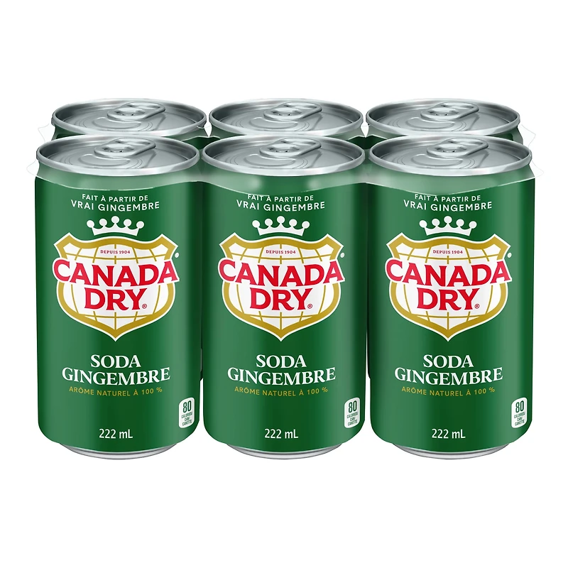 Canada Dry® Ginger Ale 222 mL Mini-Cans, 6 Pack