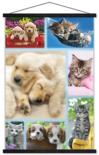 Keith Kimberlin - Puppies and Kittens Collage Wall Poster, 22.375" x 34"