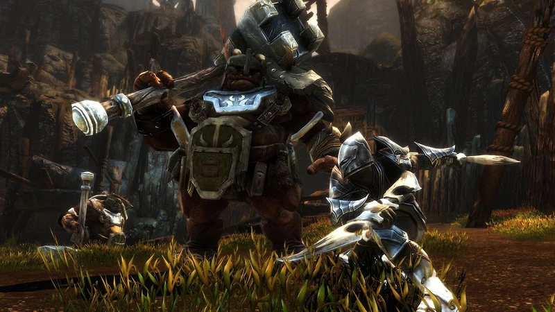 Kingdoms of Amalur Re-Reckoning (PS4)