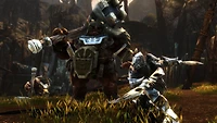 Kingdoms of Amalur Re-Reckoning (PS4)