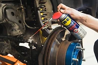 Vaporisateur pénétrant WD-40 antirouille Specialist avec practico-tube permanente 311 gr