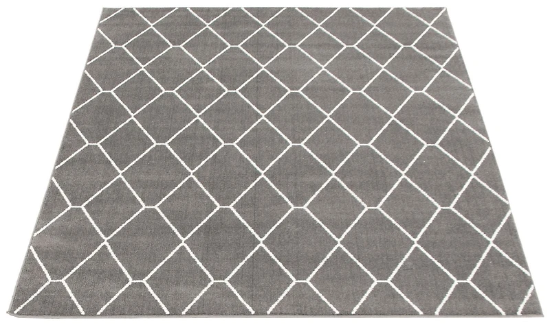 Tapis ECARPET Contemporain pour Salon, Chambre à Coucher, Salle Manger