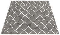 Tapis ECARPET Contemporain pour Salon, Chambre à Coucher, Salle Manger