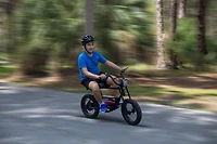 Droyd Blipper Ebike- Black